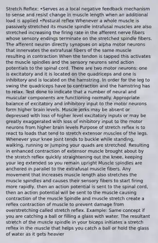 Stretch Reflex: •Serves as a local negative feedback mechanism to sense and resist change in muscle length when an additional load is applied •Postural reflex Whenever a whole muscle is passively stretched its muscle spindle intrafusal muscles are also stretched increasing the firing rate in the afferent nerve fibers whose sensory endings terminate on the stretched spindle fibers. The afferent neuron directly synapses on alpha motor neurons that innervates the extrafusal fibers of the same muscle resulting in contraction When the tendon is tapped this activates the muscle spindles and the sensory neurons send action potentials to the spinal cord. There are two motor neurons: one is excitatory and it is located on the quadriceps and one is inhibitory and is located on the hamstring. In order for the leg to swing the quadriceps have to contraction and the hamstring has to relax. Test done to indicate that a number of neural and muscular components are functioning normally. Appropriate balance of excitatory and inhibitory input to the motor neurons form higher brain levels. Muscle jerks may be absent or depressed with loss of higher level excitatory inputs or may be greatly exaggerated with loss of inhibitory input to the motor neurons from higher brain levels Purpose of stretch reflex is to react to loads that tend to stretch extensor muscles of the legs. Whenever your knee joint tends to buckle while standing, walking, running or jumping your quads are stretched. Resulting in enhanced contraction of extensor muscle brought about by the stretch reflex quickly straightening out the knee, keeping your leg extended so you remain upright Muscle spindles are anchored in parallel to the extrafusal muscle fibers. Any movement that increases muscle length also stretches the muscle spindles and causes their sensory fibers to start firing more rapidly, then an action potential is sent to the spinal cord, then an action potential will be sent to the muscle causing contraction of the muscle Spindle and muscle stretch create a reflex contraction of muscle to prevent damage from overstretching called stretch reflex. Example: Same concept if you are catching a ball or filling a glass with water. The resultant stretch of the muscle spindle in your biceps initiates a stretch reflex in the muscle that helps you catch a ball or hold the glass of water as it gets heavier