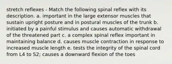 stretch reflexes - Match the following spinal reflex with its description. a. important in the large extensor muscles that sustain upright posture and in postural muscles of the trunk b. initiated by a painful stimulus and causes automatic withdrawal of the threatened part c. a complex spinal reflex important in maintaining balance d. causes <a href='https://www.questionai.com/knowledge/k0LBwLeEer-muscle-contraction' class='anchor-knowledge'>muscle contraction</a> in response to increased muscle length e. tests the integrity of <a href='https://www.questionai.com/knowledge/kkAfzcJHuZ-the-spinal-cord' class='anchor-knowledge'>the spinal cord</a> from L4 to S2; causes a downward flexion of the toes