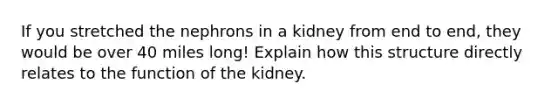 If you stretched the nephrons in a kidney from end to end, they would be over 40 miles long! Explain how this structure directly relates to the function of the kidney.