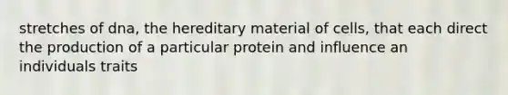 stretches of dna, the hereditary material of cells, that each direct the production of a particular protein and influence an individuals traits