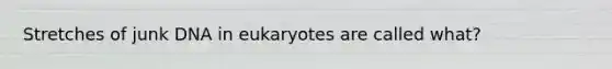 Stretches of junk DNA in eukaryotes are called what?