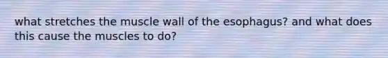 what stretches the muscle wall of the esophagus? and what does this cause the muscles to do?