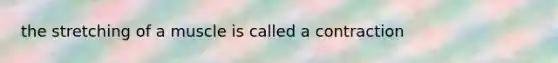 the stretching of a muscle is called a contraction