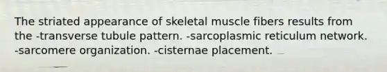 The striated appearance of skeletal muscle fibers results from the -transverse tubule pattern. -sarcoplasmic reticulum network. -sarcomere organization. -cisternae placement.