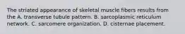 The striated appearance of skeletal muscle fibers results from the A. transverse tubule pattern. B. sarcoplasmic reticulum network. C. sarcomere organization. D. cisternae placement.