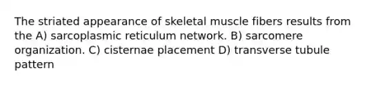 The striated appearance of skeletal muscle fibers results from the A) sarcoplasmic reticulum network. B) sarcomere organization. C) cisternae placement D) transverse tubule pattern