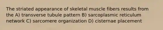 The striated appearance of skeletal muscle fibers results from the A) transverse tubule pattern B) sarcoplasmic reticulum network C) sarcomere organization D) cisternae placement