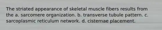 The striated appearance of skeletal muscle fibers results from the a. sarcomere organization. b. transverse tubule pattern. c. sarcoplasmic reticulum network. d. cisternae placement.