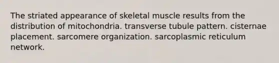 The striated appearance of skeletal muscle results from the distribution of mitochondria. transverse tubule pattern. cisternae placement. sarcomere organization. sarcoplasmic reticulum network.