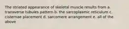 The striated appearance of skeletal muscle results from a. transverse tubules pattern b. the sarcoplasmic reticulum c. cisternae placement d. sarcomere arrangement e. all of the above