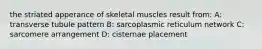 the striated apperance of skeletal muscles result from: A: transverse tubule pattern B: sarcoplasmic reticulum network C: sarcomere arrangement D: cisternae placement