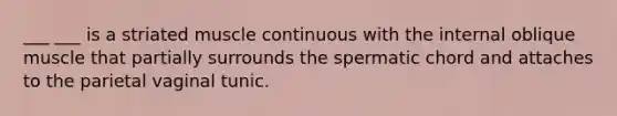 ___ ___ is a striated muscle continuous with the internal oblique muscle that partially surrounds the spermatic chord and attaches to the parietal vaginal tunic.