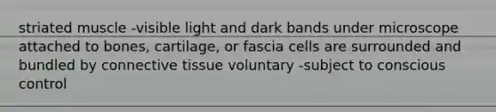 striated muscle -visible light and dark bands under microscope attached to bones, cartilage, or fascia cells are surrounded and bundled by connective tissue voluntary -subject to conscious control