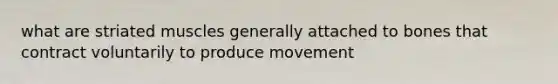 what are striated muscles generally attached to bones that contract voluntarily to produce movement