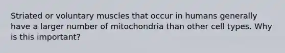 Striated or voluntary muscles that occur in humans generally have a larger number of mitochondria than other cell types. Why is this important?