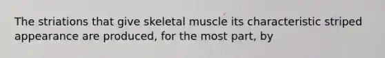 The striations that give skeletal muscle its characteristic striped appearance are produced, for the most part, by