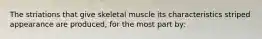 The striations that give skeletal muscle its characteristics striped appearance are produced, for the most part by: