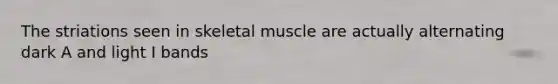 The striations seen in skeletal muscle are actually alternating dark A and light I bands