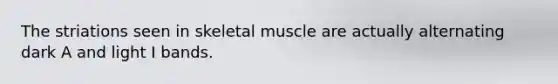 The striations seen in skeletal muscle are actually alternating dark A and light I bands.