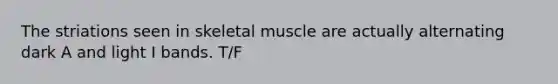 The striations seen in skeletal muscle are actually alternating dark A and light I bands. T/F