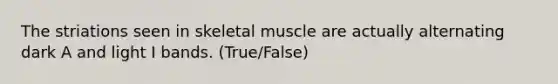 The striations seen in skeletal muscle are actually alternating dark A and light I bands. (True/False)