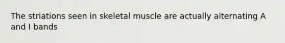 The striations seen in skeletal muscle are actually alternating A and I bands