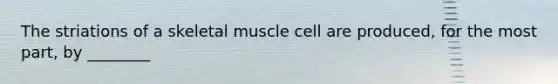 The striations of a skeletal muscle cell are produced, for the most part, by ________