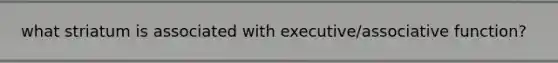 what striatum is associated with executive/associative function?