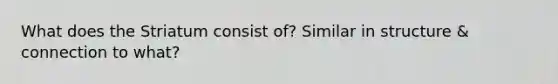 What does the Striatum consist of? Similar in structure & connection to what?