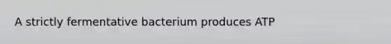 A strictly fermentative bacterium produces ATP