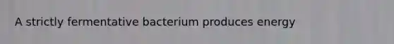 A strictly fermentative bacterium produces energy