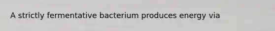 A strictly fermentative bacterium produces energy via