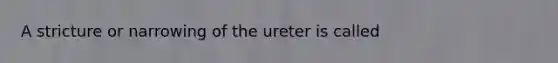 A stricture or narrowing of the ureter is called