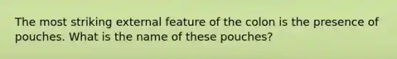 The most striking external feature of the colon is the presence of pouches. What is the name of these pouches?