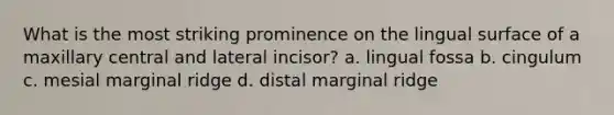 What is the most striking prominence on the lingual surface of a maxillary central and lateral incisor? a. lingual fossa b. cingulum c. mesial marginal ridge d. distal marginal ridge