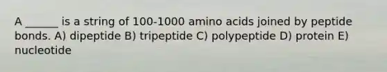 A ______ is a string of 100-1000 <a href='https://www.questionai.com/knowledge/k9gb720LCl-amino-acids' class='anchor-knowledge'>amino acids</a> joined by peptide bonds. A) dipeptide B) tripeptide C) polypeptide D) protein E) nucleotide