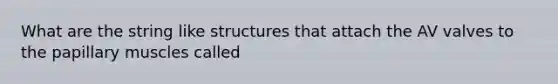 What are the string like structures that attach the AV valves to the papillary muscles called