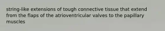 string-like extensions of tough <a href='https://www.questionai.com/knowledge/kYDr0DHyc8-connective-tissue' class='anchor-knowledge'>connective tissue</a> that extend from the flaps of the atrioventricular valves to the papillary muscles