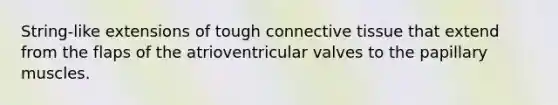 String-like extensions of tough connective tissue that extend from the flaps of the atrioventricular valves to the papillary muscles.