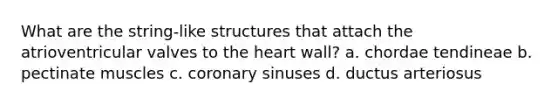 What are the string-like structures that attach the atrioventricular valves to the heart wall? a. chordae tendineae b. pectinate muscles c. coronary sinuses d. ductus arteriosus