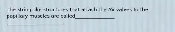 The string-like structures that attach the AV valves to the papillary muscles are called________________ _______________________.