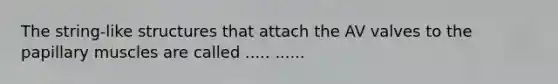The string-like structures that attach the AV valves to the papillary muscles are called ..... ......