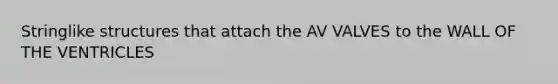 Stringlike structures that attach the AV VALVES to the WALL OF THE VENTRICLES