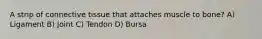 A strip of connective tissue that attaches muscle to bone? A) Ligament B) Joint C) Tendon D) Bursa