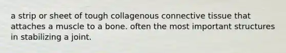 a strip or sheet of tough collagenous connective tissue that attaches a muscle to a bone. often the most important structures in stabilizing a joint.