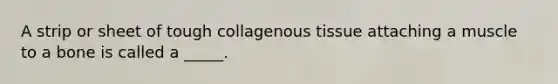 A strip or sheet of tough collagenous tissue attaching a muscle to a bone is called a _____.