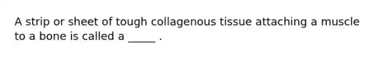 A strip or sheet of tough collagenous tissue attaching a muscle to a bone is called a _____ .