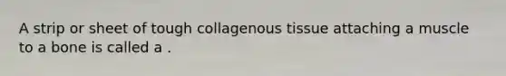A strip or sheet of tough collagenous tissue attaching a muscle to a bone is called a .