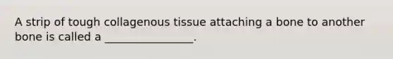 A strip of tough collagenous tissue attaching a bone to another bone is called a ________________.