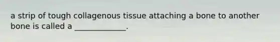 a strip of tough collagenous tissue attaching a bone to another bone is called a _____________.